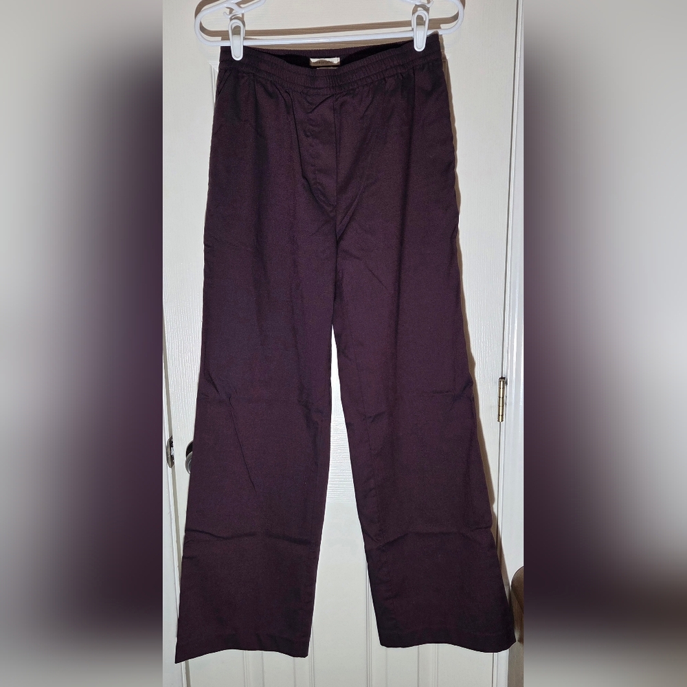 Urban Outfitters Womens Dark Burgundy Elastic Waist Pants